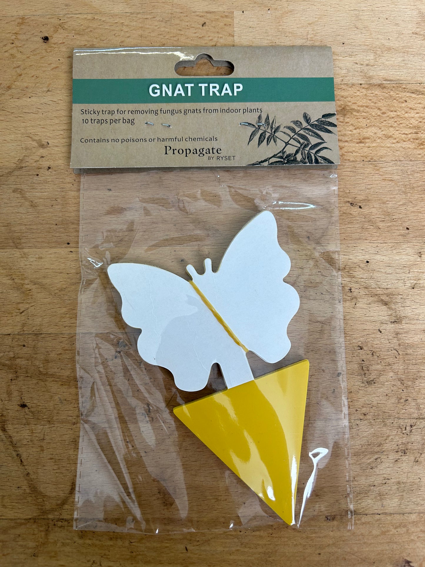 Gnat Traps